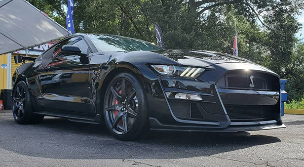 Mustang Cobra 5.0 Detailing